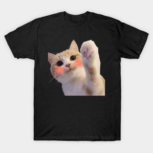 funny meh cat T-Shirt